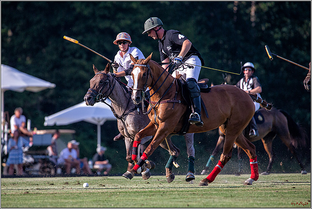 16. Polopicknick, 26.07.2019