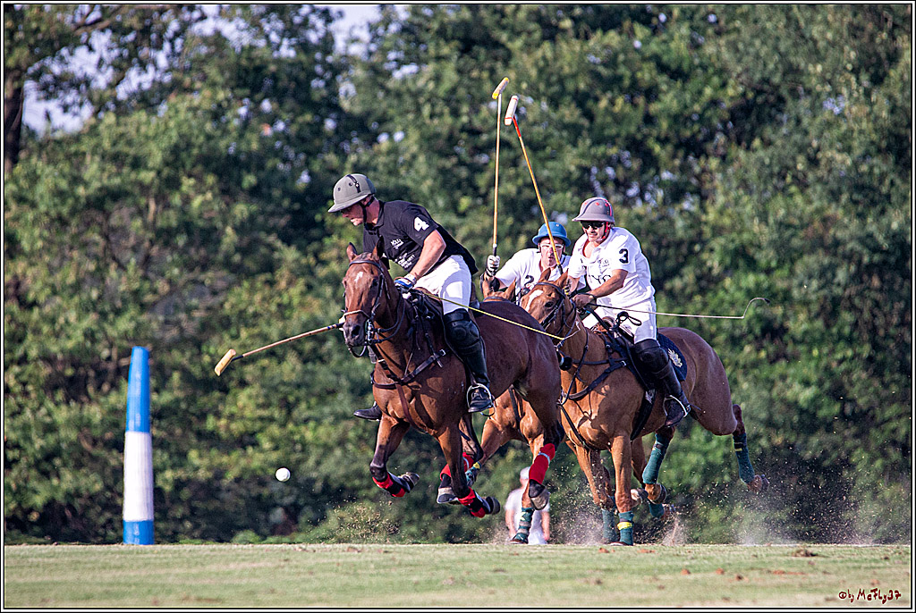 16. Polopicknick, 26.07.2019