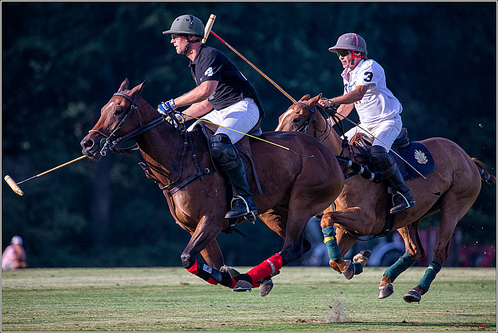 16. Polopicknick, 26.07.2019