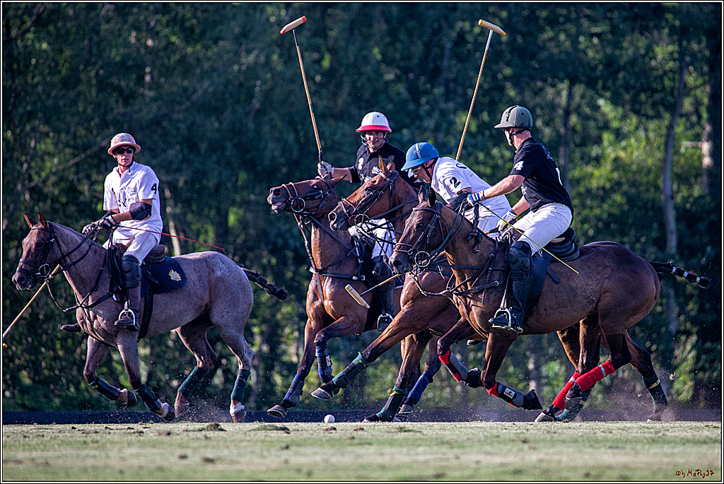 16. Polopicknick, 26.07.2019