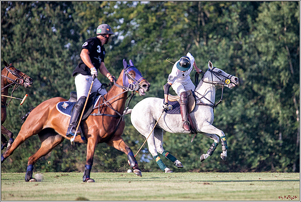 16. Polopicknick, 26.07.2019