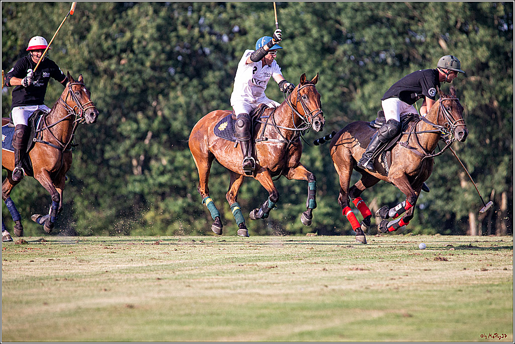 16. Polopicknick, 26.07.2019