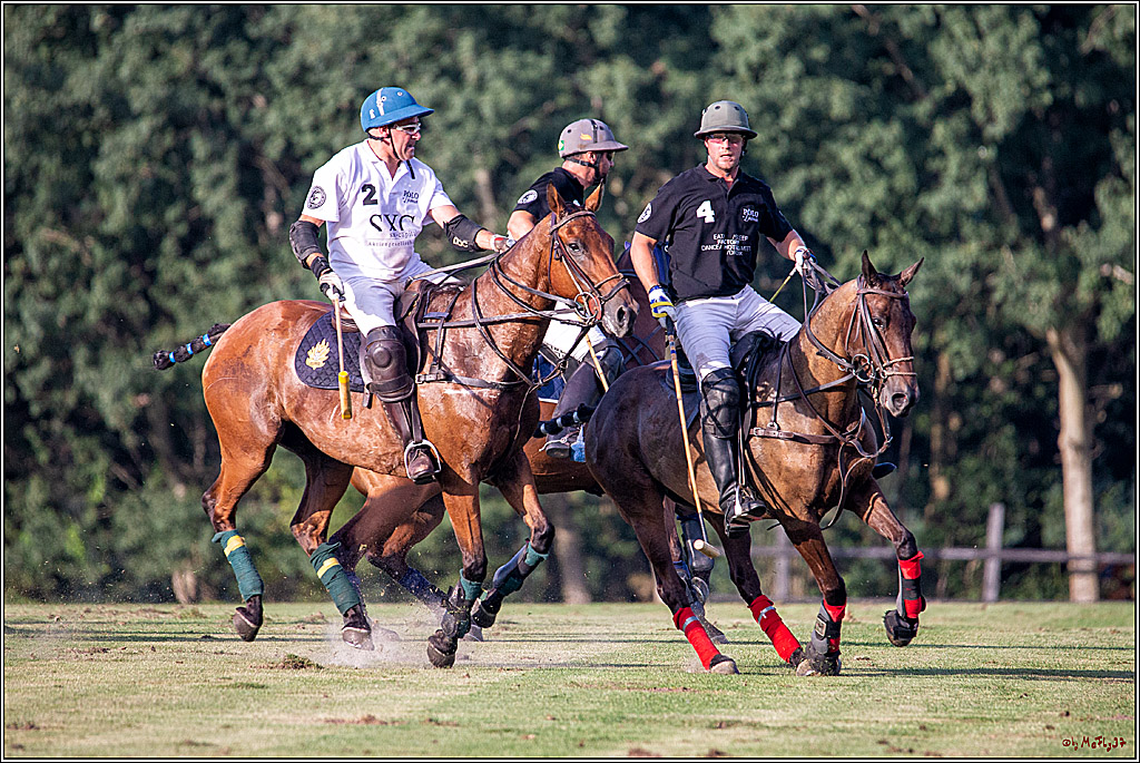 16. Polopicknick, 26.07.2019