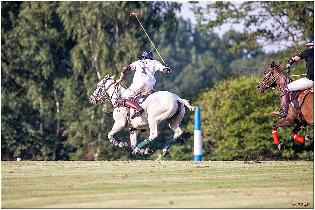 16. Polopicknick, 26.07.2019
