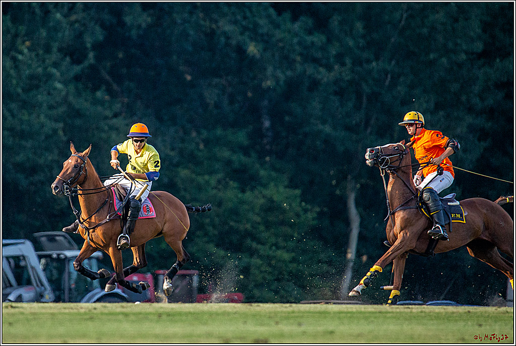 16. Polopicknick, 26.07.2019