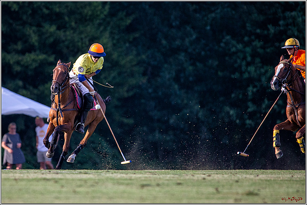 16. Polopicknick, 26.07.2019