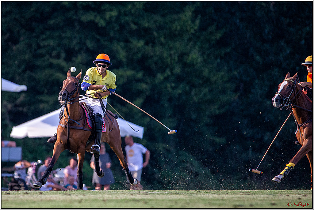 16. Polopicknick, 26.07.2019