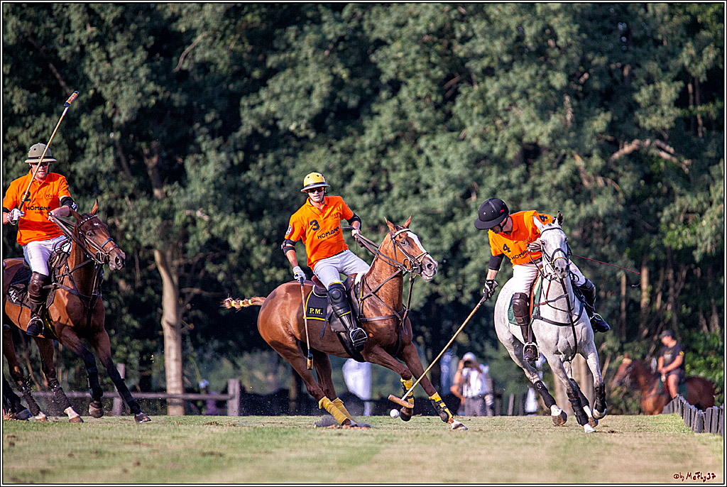 16. Polopicknick, 26.07.2019