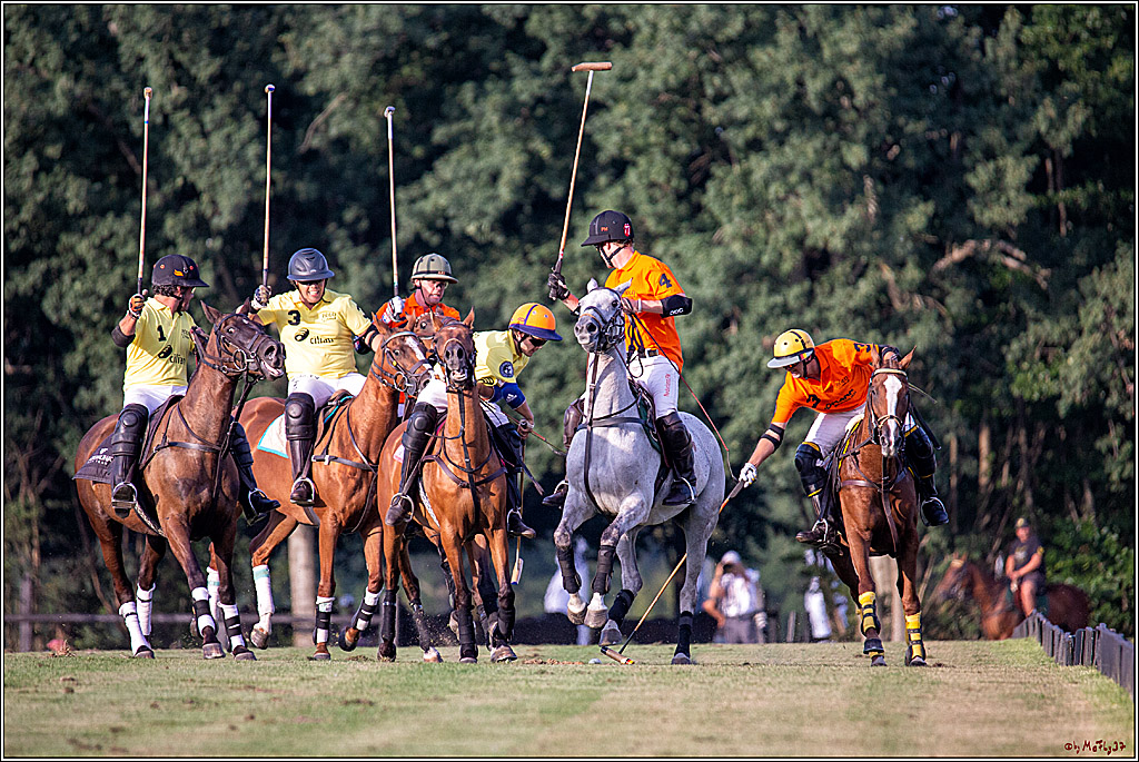 16. Polopicknick, 26.07.2019