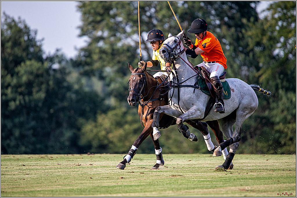 16. Polopicknick, 26.07.2019