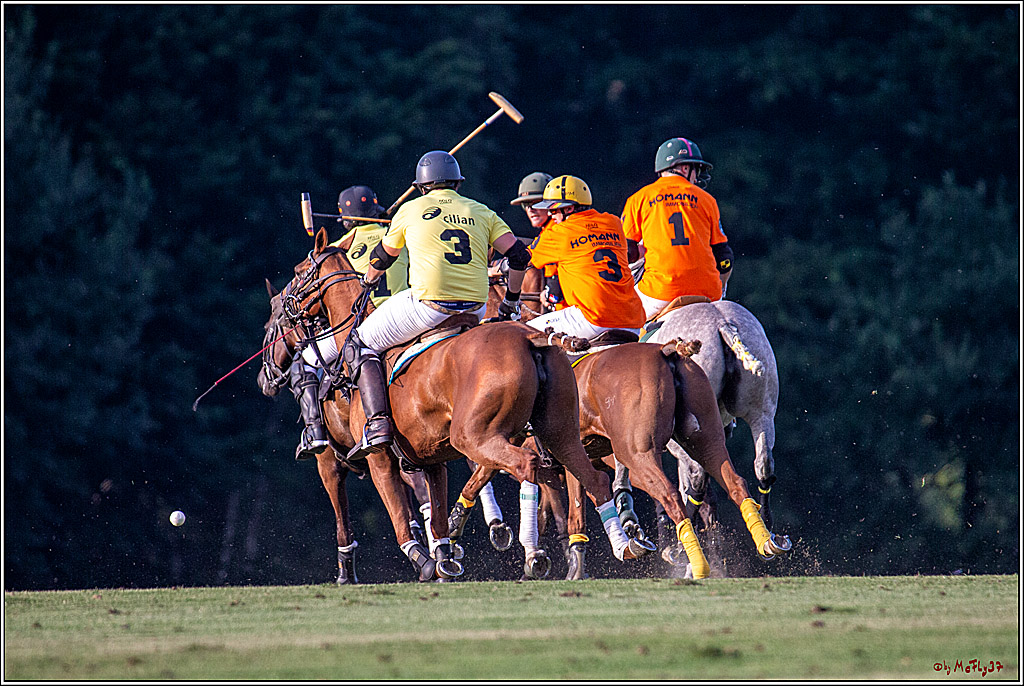 16. Polopicknick, 26.07.2019