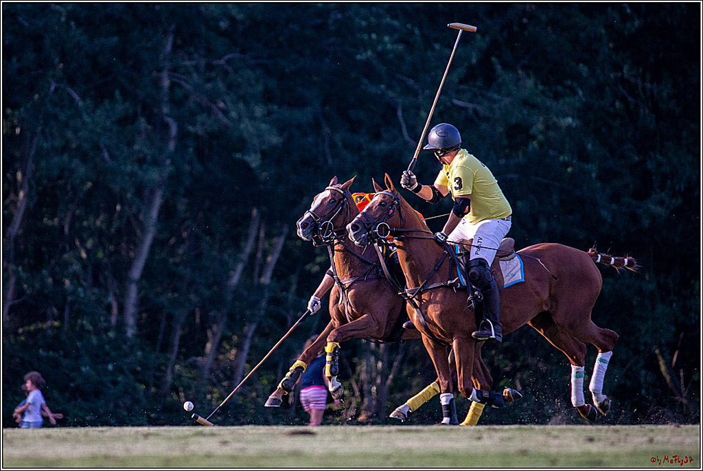 16. Polopicknick, 26.07.2019
