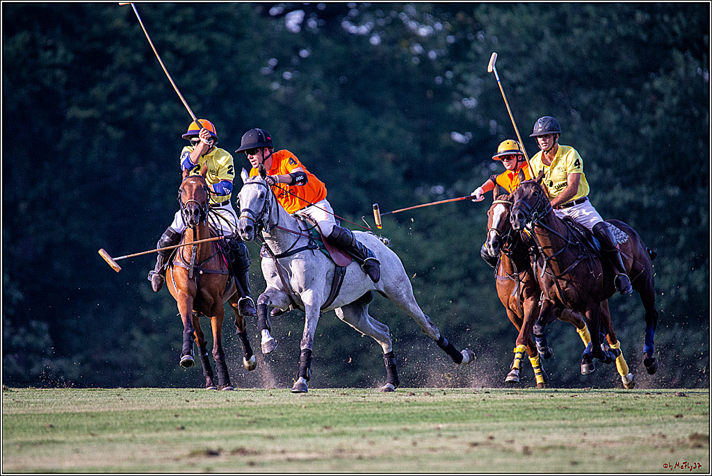 16. Polopicknick, 26.07.2019