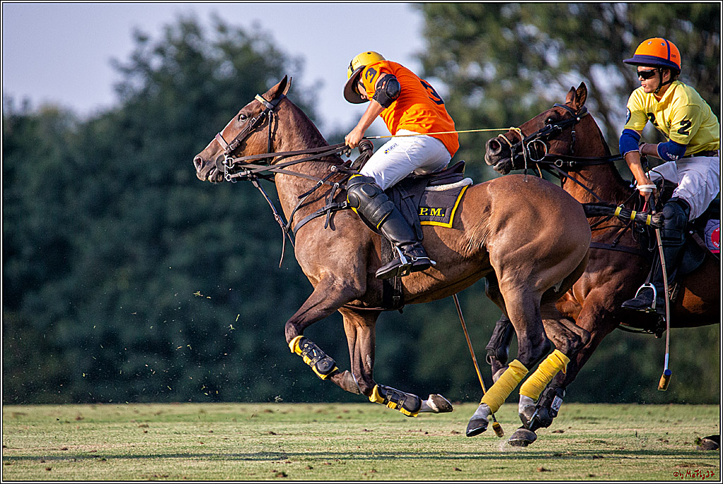 16. Polopicknick, 26.07.2019