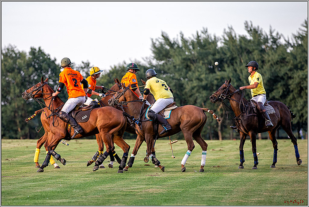 16. Polopicknick, 26.07.2019