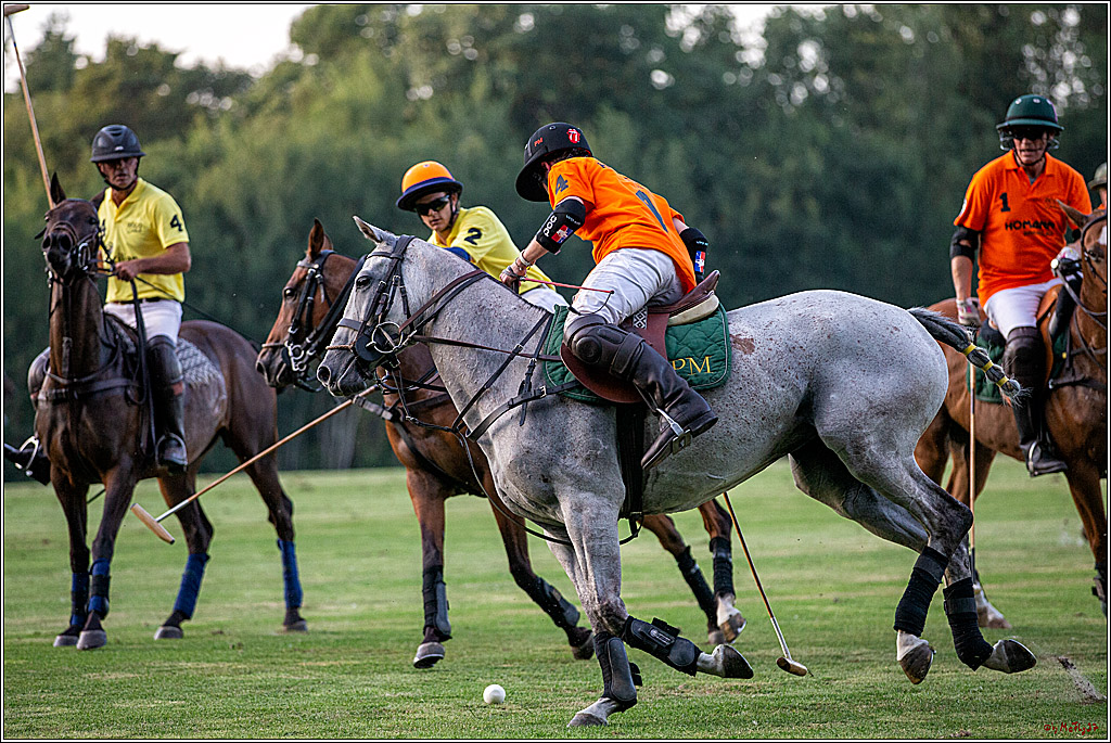 16. Polopicknick, 26.07.2019