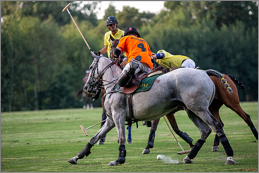 16. Polopicknick, 26.07.2019
