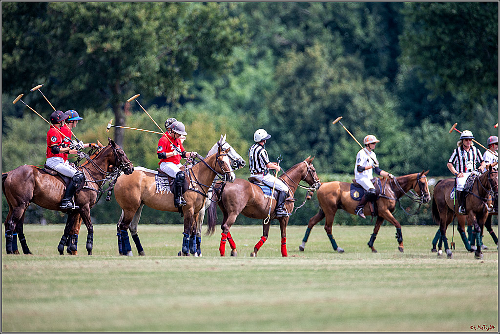 16. Polopicknick, 28.07.2019
