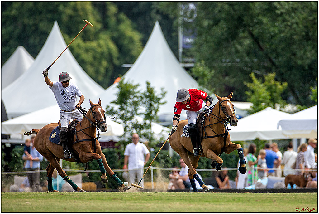 16. Polopicknick, 28.07.2019