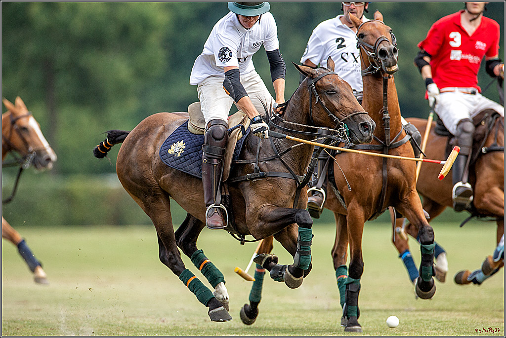16. Polopicknick, 28.07.2019
