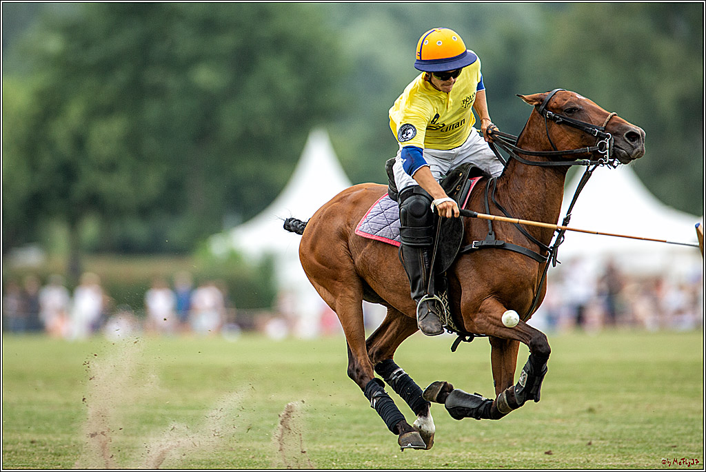 16. Polopicknick, 28.07.2019