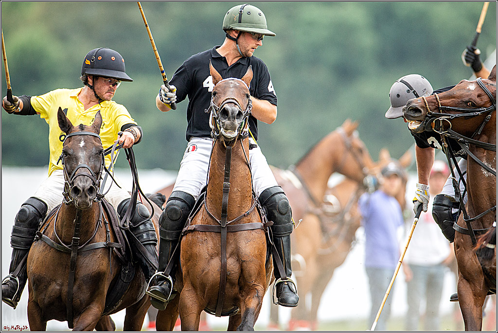 16. Polopicknick, 28.07.2019