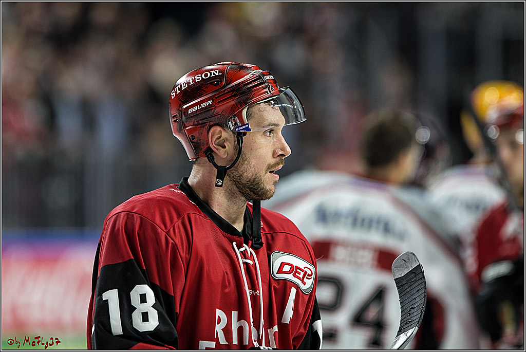 DEL, Koelner Haie - Fishtown Pinguins Bremerhaven, 08.09.2017