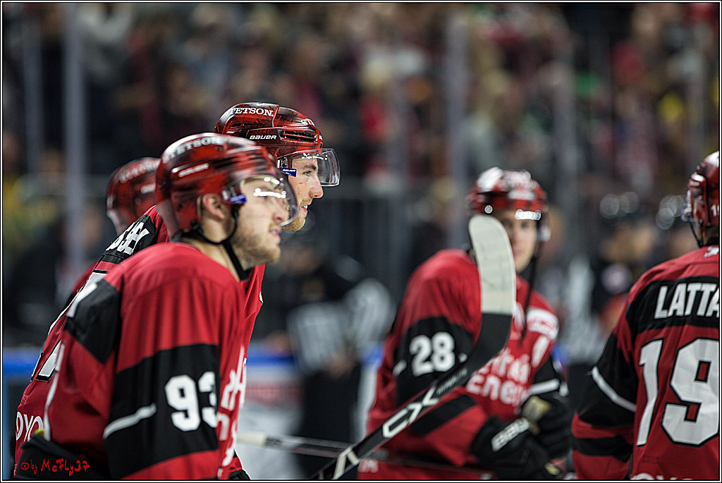 DEL, Koelner Haie - Fishtown Pinguins Bremerhaven, 08.09.2017