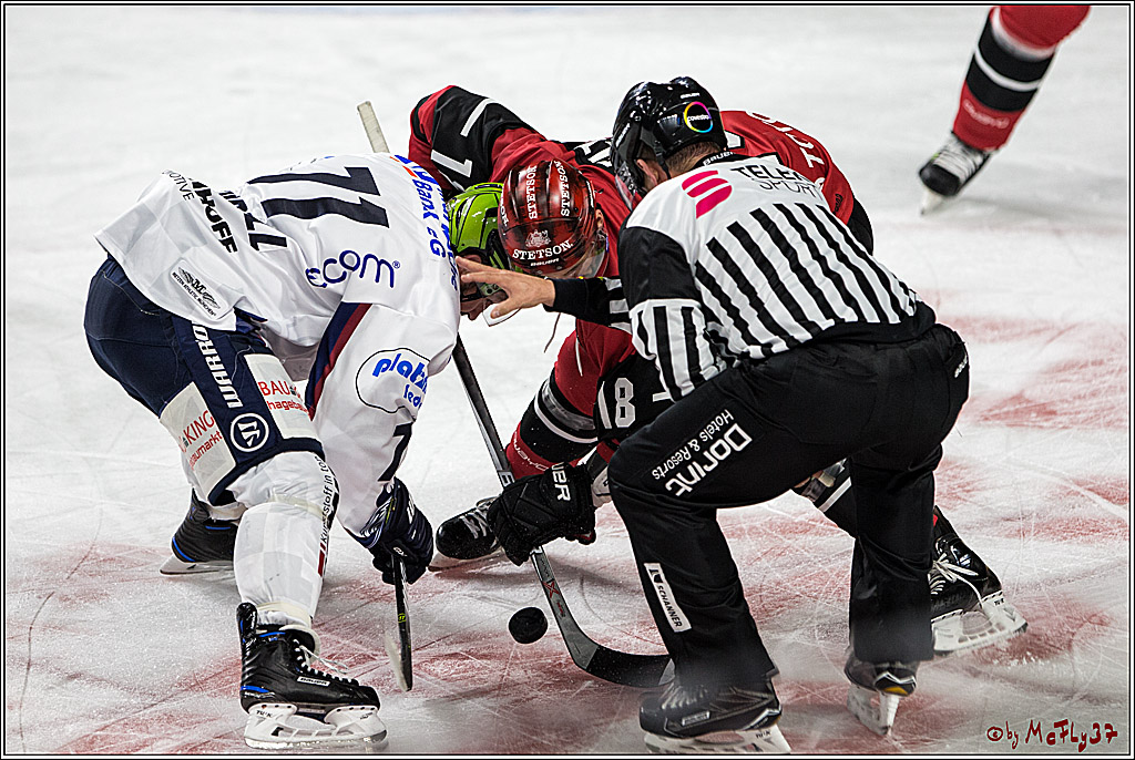 DEL, Koelner Haie - Iserlohn Roosters, 15.09.2017