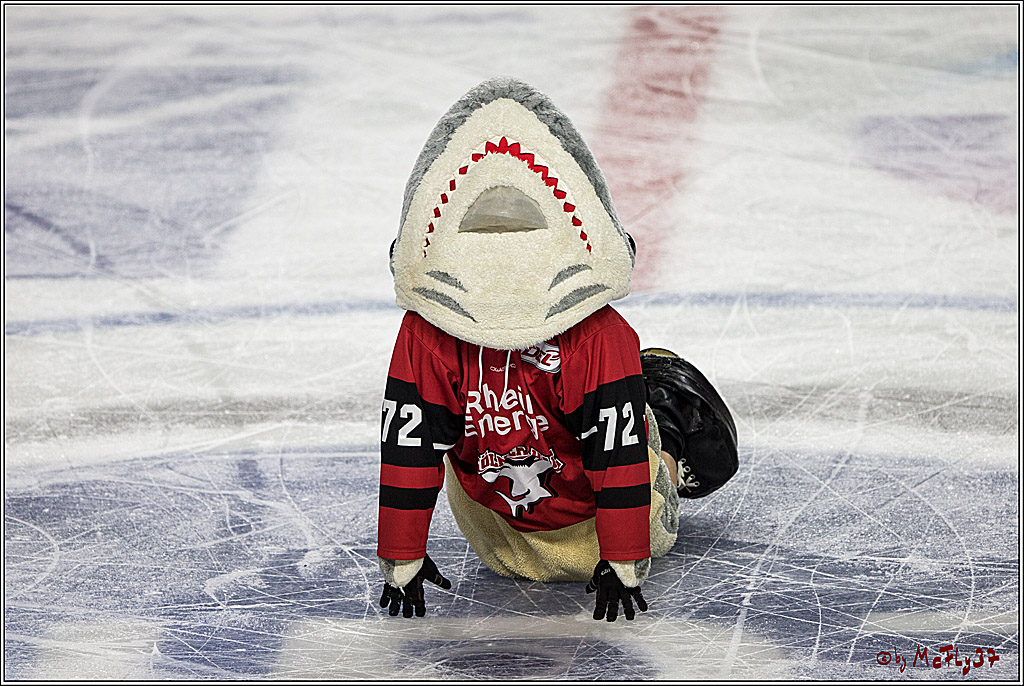 DEL, Koelner Haie - Iserlohn Roosters, 15.09.2017