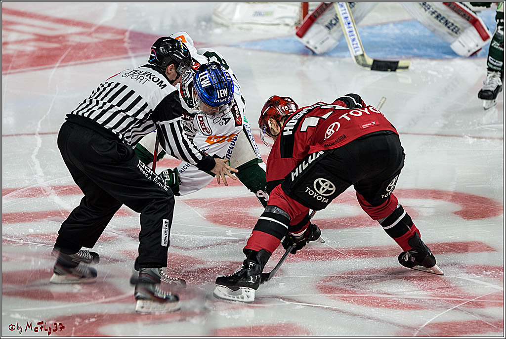 DEL, Koelner Haie - Augsburger Panther, 24.09.2017