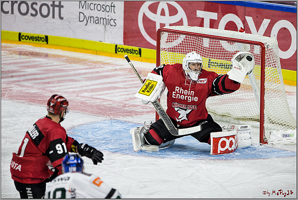 DEL, Koelner Haie - Augsburger Panther, 24.09.2017