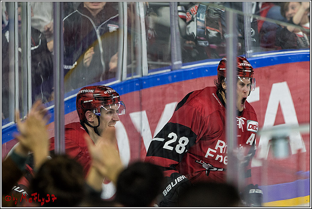 DEL, Koelner Haie - Augsburger Panther, 24.09.2017