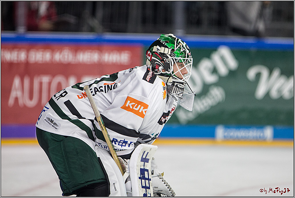 DEL, Koelner Haie - Augsburger Panther, 24.09.2017