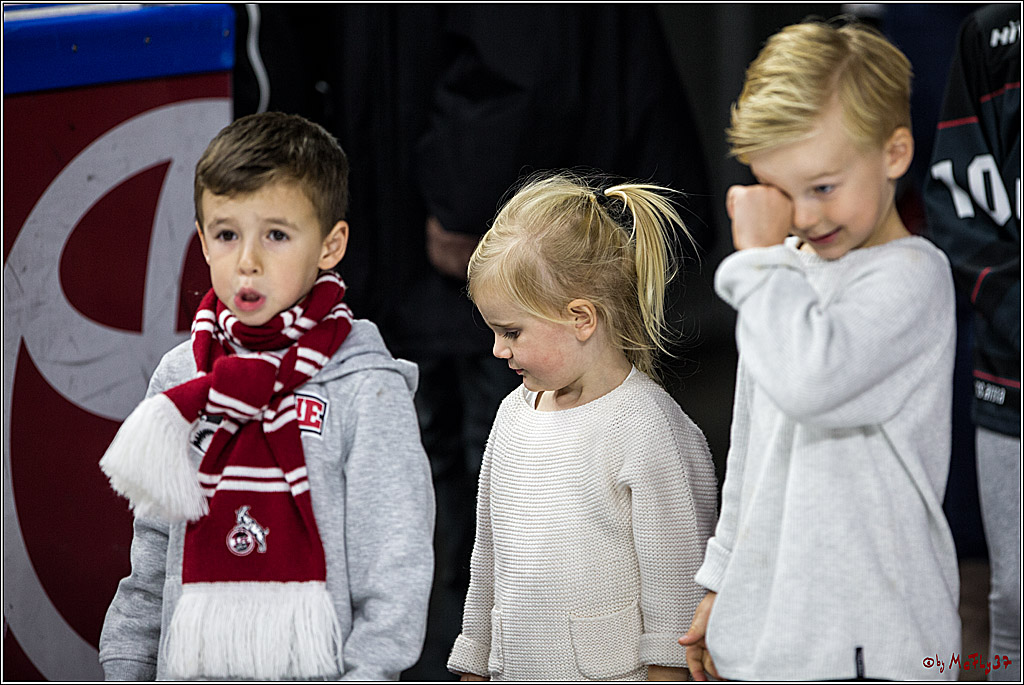 DEL, Koelner Haie - Augsburger Panther, 24.09.2017