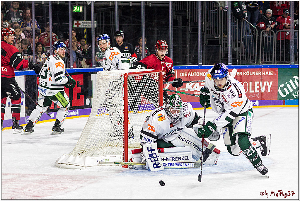 DEL, Koelner Haie - Augsburger Panther, 24.09.2017
