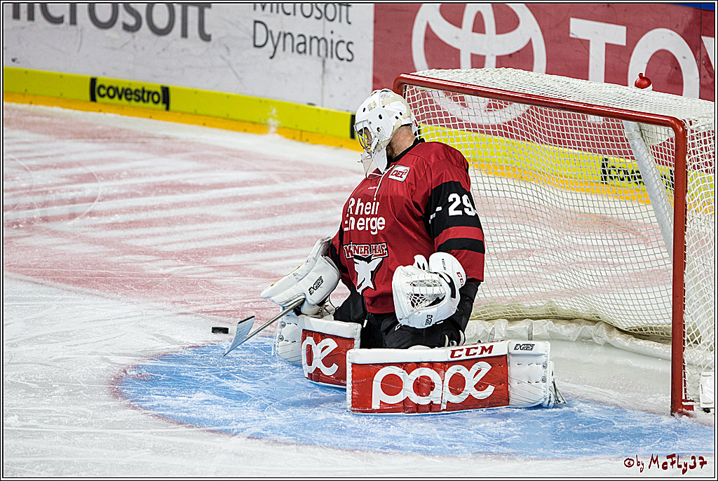 DEL, Koelner Haie - Thomas Sabo Ice Tigers, 17.09.2017