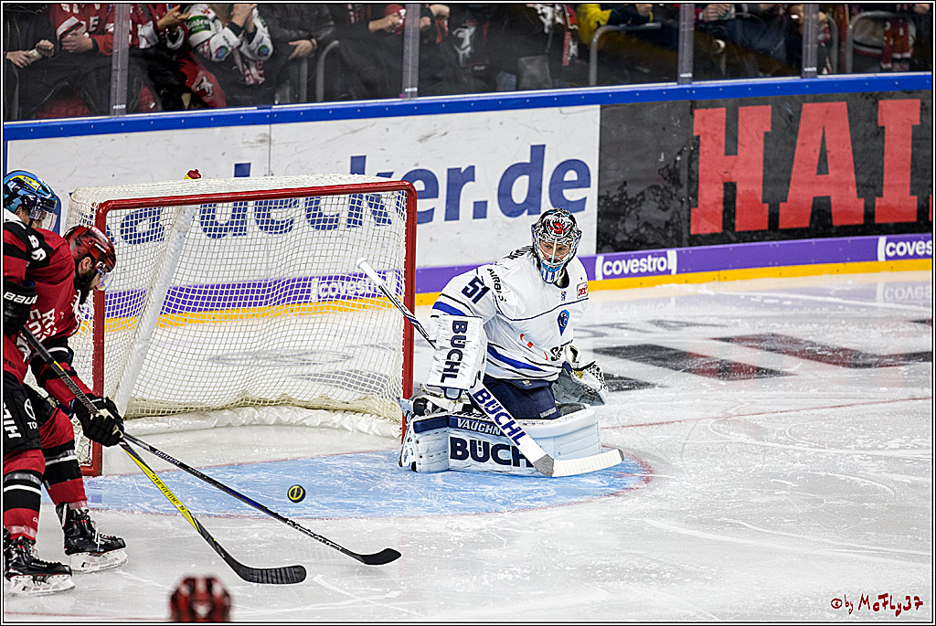DEL, Koelner Haie - ERC Ingolstadt, 20.10.2017