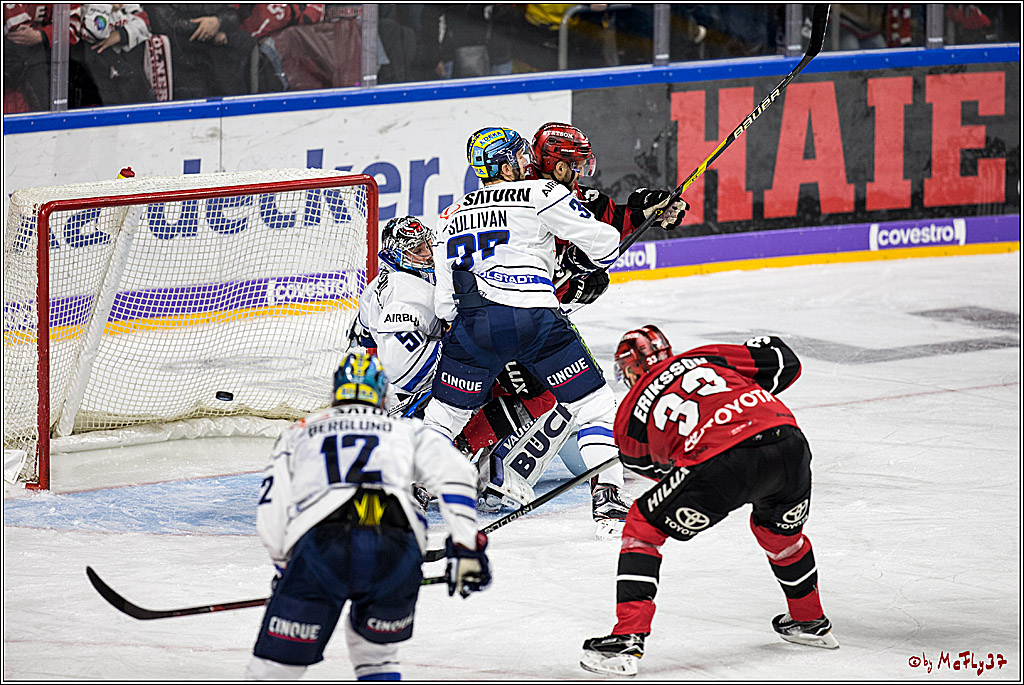 DEL, Koelner Haie - ERC Ingolstadt, 20.10.2017