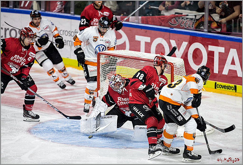 DEL, Koelner Haie - Grizzlys Wolfsburg, 22.10.2017