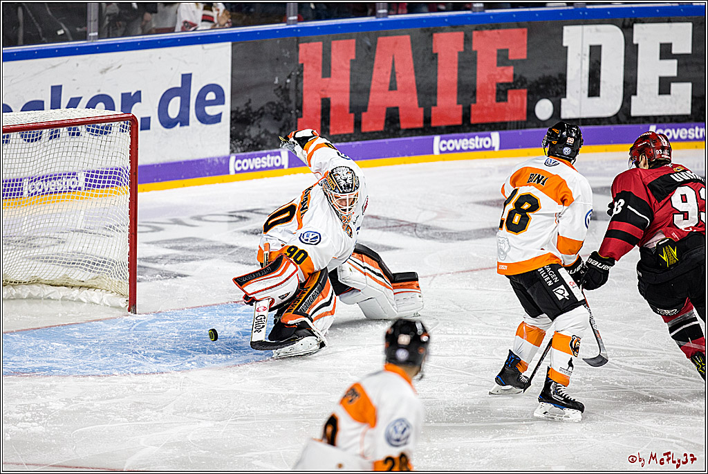 DEL, Koelner Haie - Grizzlys Wolfsburg, 22.10.2017
