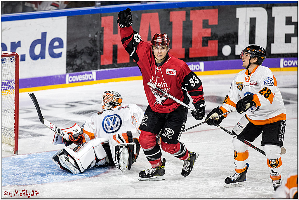 DEL, Koelner Haie - Grizzlys Wolfsburg, 22.10.2017