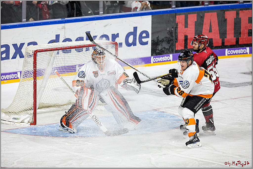 DEL, Koelner Haie - Grizzlys Wolfsburg, 22.10.2017