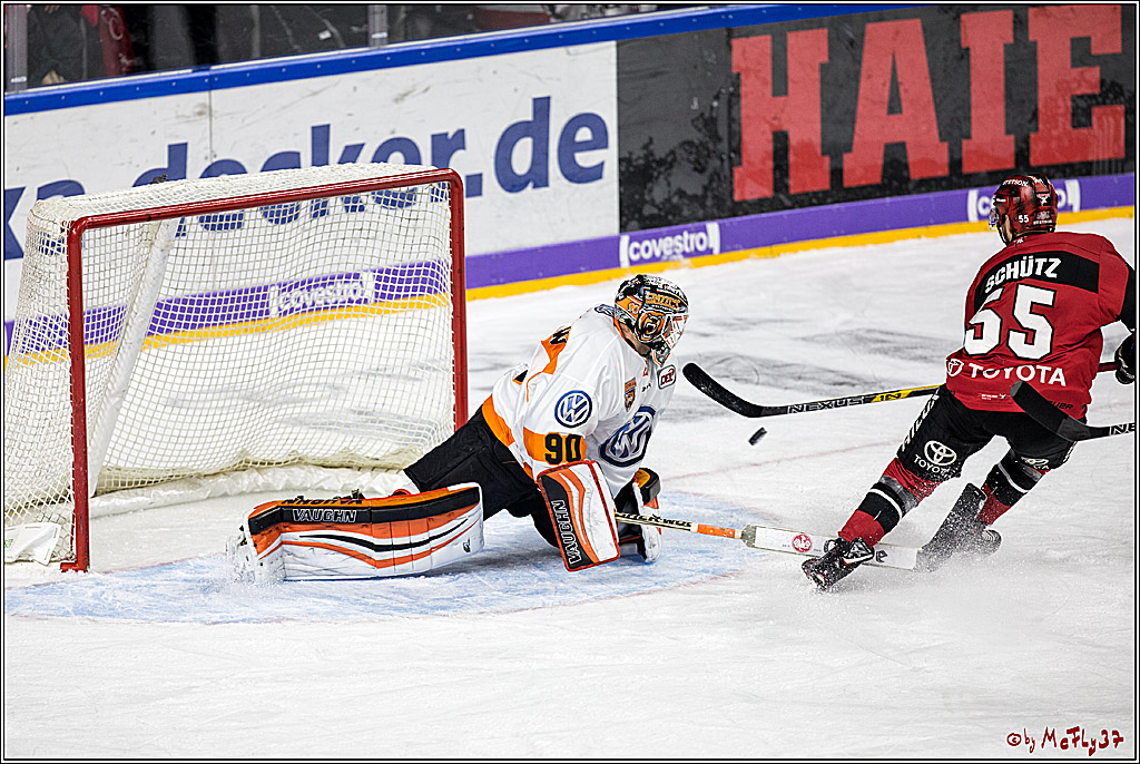 DEL, Koelner Haie - Grizzlys Wolfsburg, 22.10.2017
