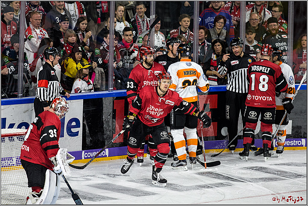 DEL, Koelner Haie - Grizzlys Wolfsburg, 22.10.2017