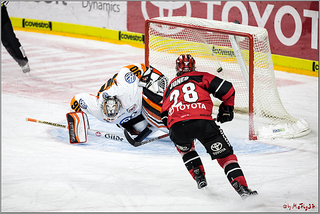 DEL, Koelner Haie - Grizzlys Wolfsburg, 22.10.2017