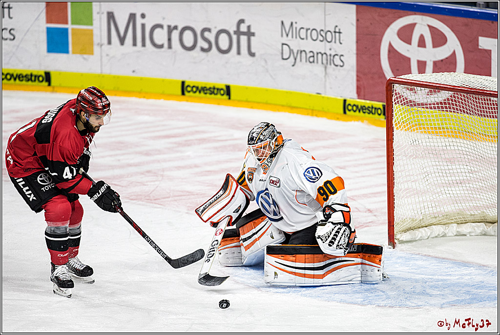 DEL, Koelner Haie - Grizzlys Wolfsburg, 22.10.2017