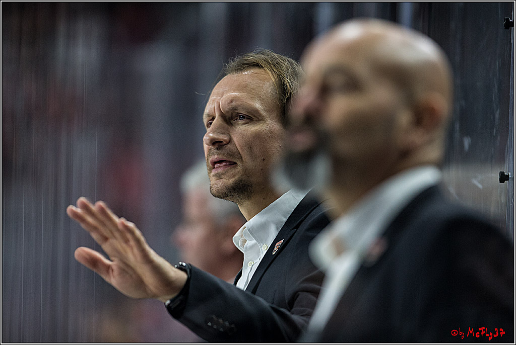DEL, Koelner Haie - Grizzlys Wolfsburg, 22.10.2017