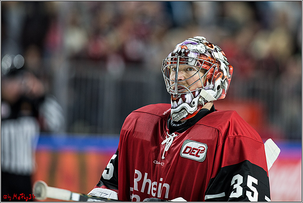 DEL, Koelner Haie - Grizzlys Wolfsburg, 22.10.2017