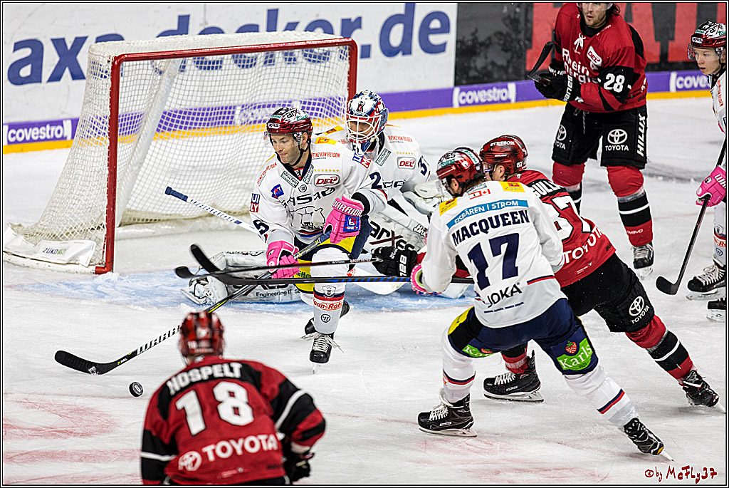 DEL, Koelner Haie - Eisbaeren Berlin, 24.10.2017